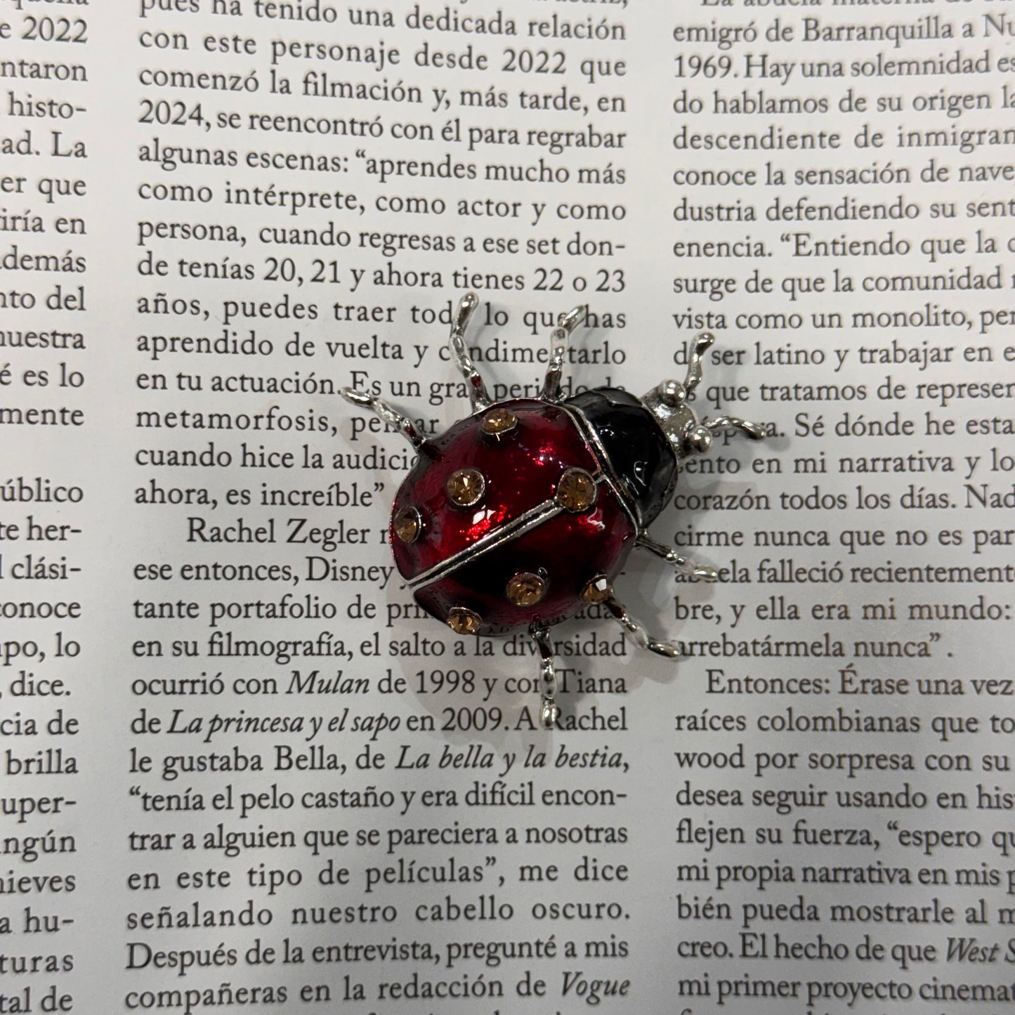 BROCHE LADYBUG